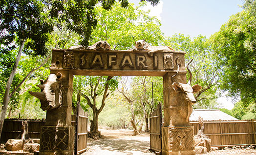 Safari Mauritius